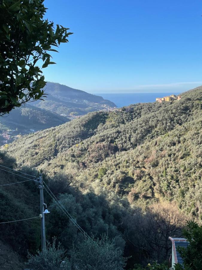 Le Case Di Petra Vignana Extérieur photo