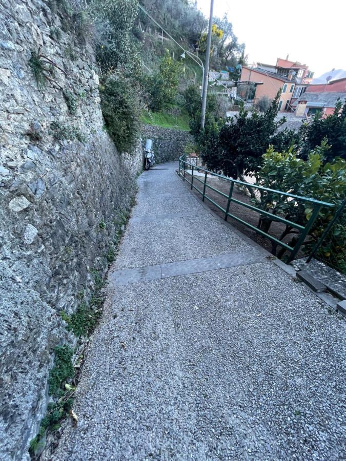 Le Case Di Petra Vignana Extérieur photo