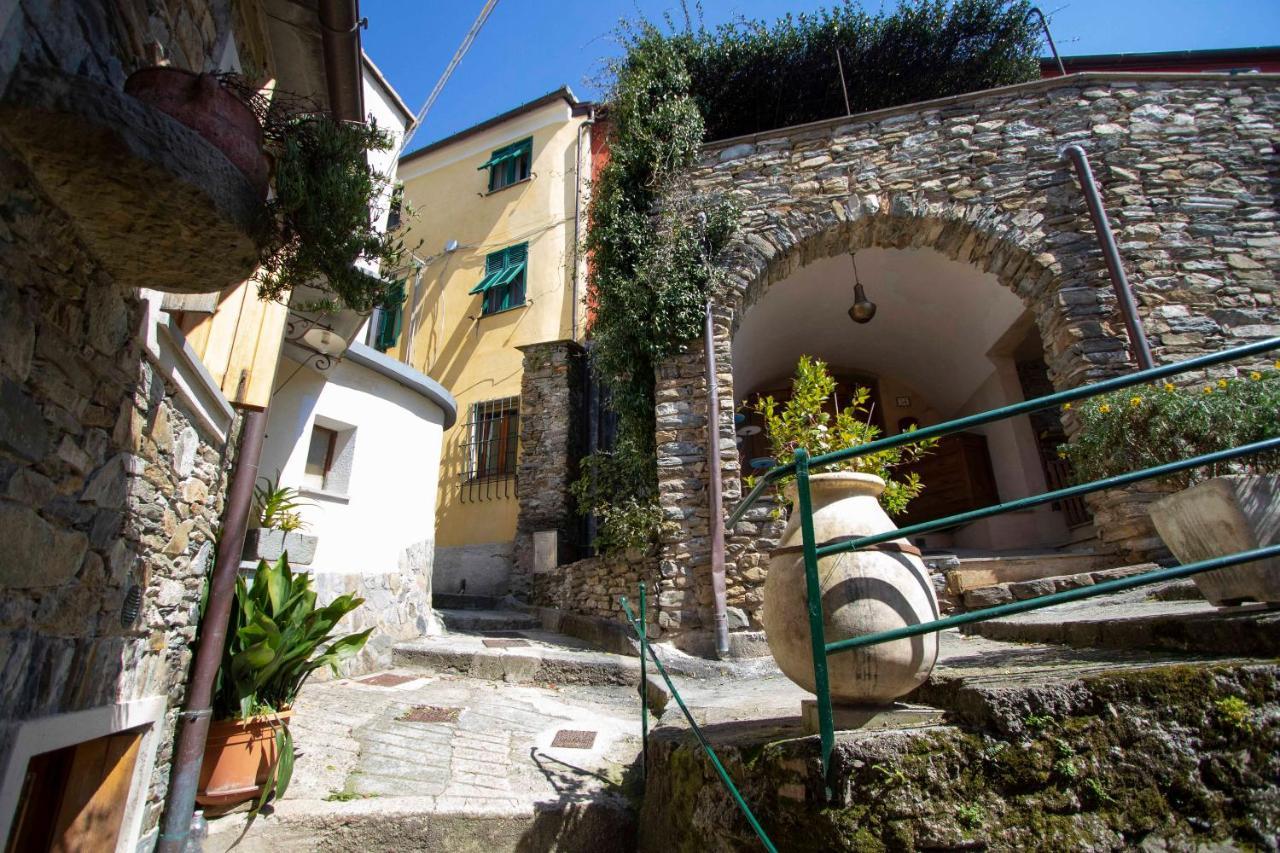 Le Case Di Petra Vignana Extérieur photo
