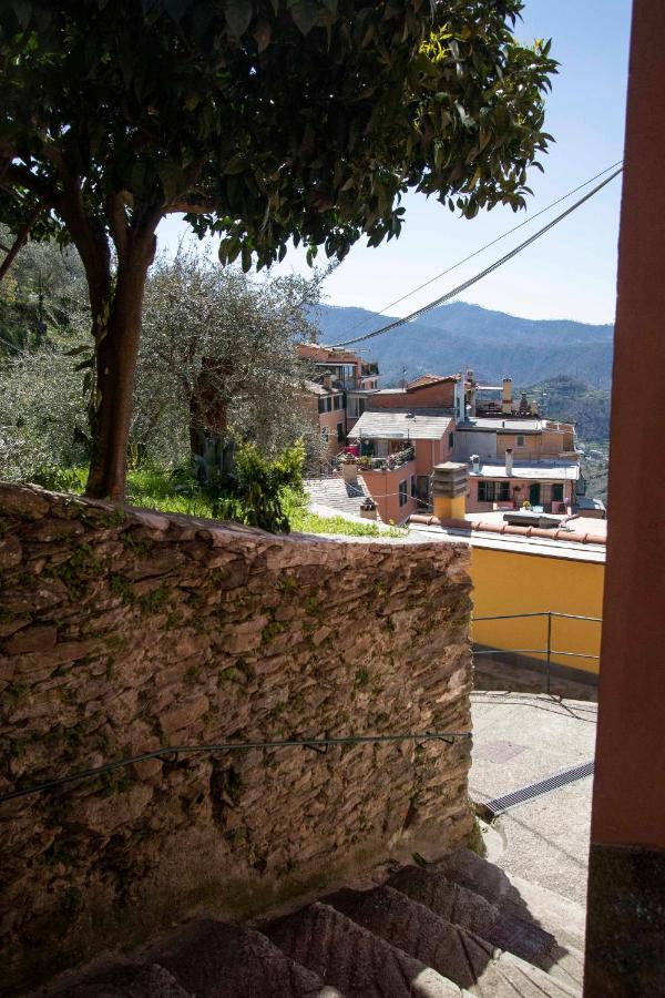 Le Case Di Petra Vignana Extérieur photo