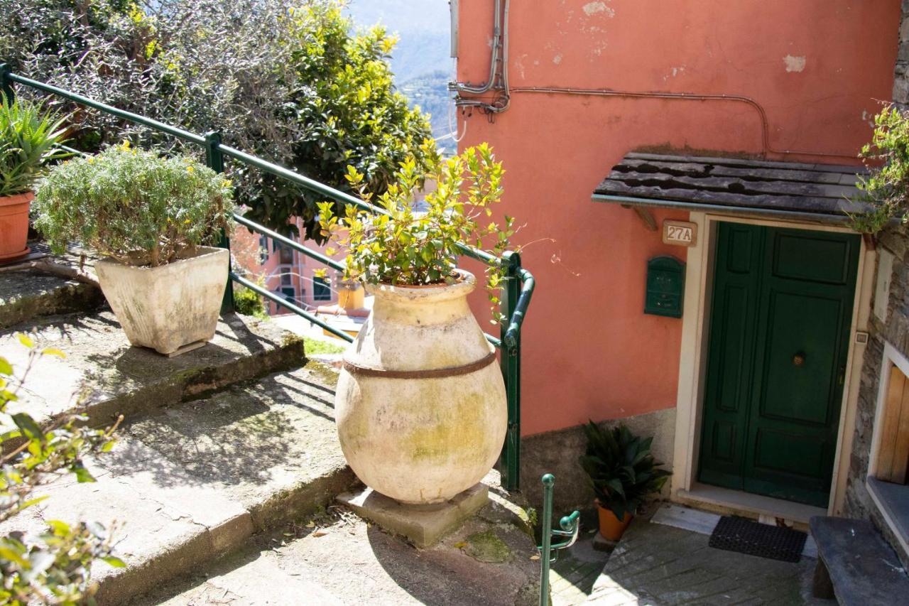 Le Case Di Petra Vignana Extérieur photo
